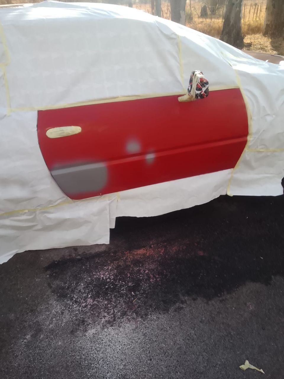 Paint Correction Before